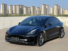 Tesla Model 3 Standard Range RWD Upgrade - ფოტო 1
