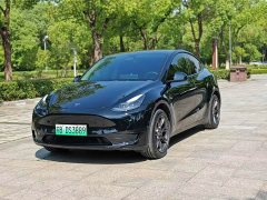 Tesla Model Y Rear-Wheel Drive - ფოტო 1