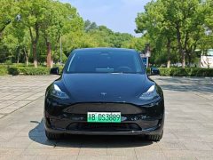 Tesla Model Y Rear-Wheel Drive - ფოტო 2