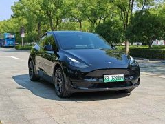 Tesla Model Y Rear-Wheel Drive - ფოტო 3