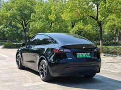 Tesla Model Y Rear-Wheel Drive - ფოტო 4