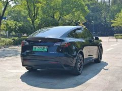 Tesla Model Y Rear-Wheel Drive - ფოტო 5
