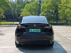 Tesla Model Y Rear-Wheel Drive - ფოტო 6
