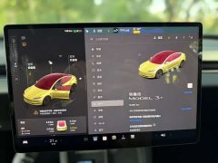 Tesla Model 3 Rear-Wheel Drive - ფოტო 5