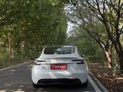 Tesla Model 3 Rear-Wheel Drive - ფოტო 8