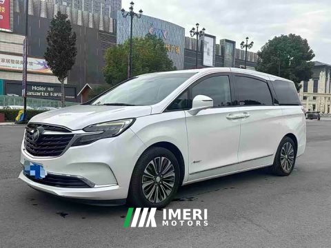 2021 Buick GL8 ES Land Respect 653T Smart Flagship - ავტომობილი ჩინეთიდან