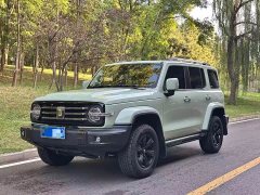 Tank 300 2023 City Edition 2.0T Stylish - ფოტო 1