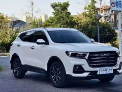 Haval H6 National Trend Edition 1.5T Automatic Urban Version - ფოტო 3