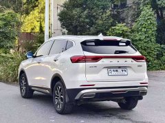 Haval H6 National Trend Edition 1.5T Automatic Urban Version - ფოტო 6