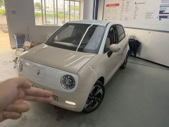ORA Black Cat 351km Comfort Edition Ternary Lithium - ფოტო 1