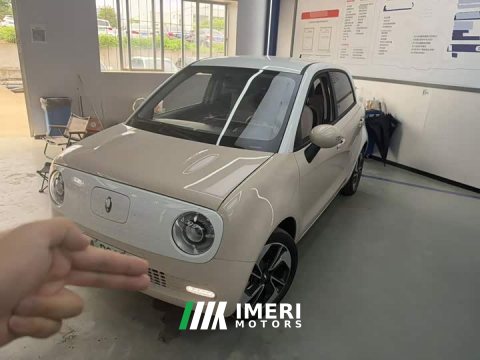 2022 ORA Black Cat 351km Comfort Edition Ternary Lithium - ავტომობილი ჩინეთიდან
