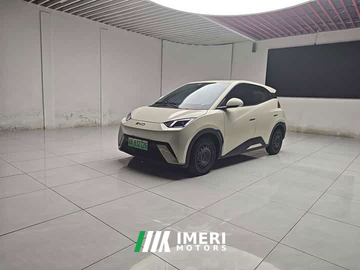 BYD Seagull Glory Edition 305km Vitality Version - ავტომობილი ჩინეთიდან