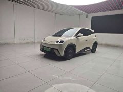 BYD Seagull Glory Edition 305km Vitality Version - ფოტო 1