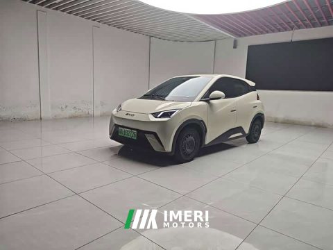 2024 BYD Seagull Glory Edition 305km Vitality Version - ავტომობილი ჩინეთიდან