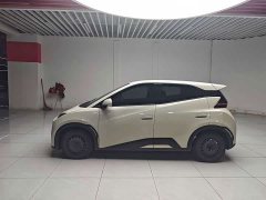 BYD Seagull Glory Edition 305km Vitality Version - ფოტო 2