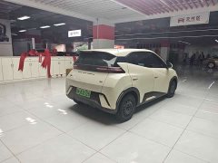 BYD Seagull Glory Edition 305km Vitality Version - ფოტო 7