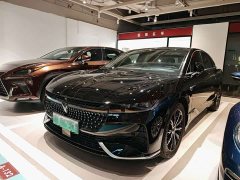 Voyah Lantu Zhuiguang PHEV AWD Extended Range Executive - ფოტო 1