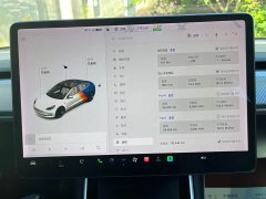 Tesla Model 3 2020 Facelift Standard Range RWD Upgrade - ფოტო 11