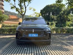 Lincoln Explorer 2.0T AWD EcoBoost Hybrid Elite - ფოტო 6