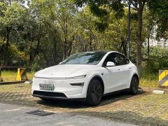 Tesla Model Y Rear-Wheel Drive - ფოტო 1