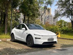 Tesla Model Y Rear-Wheel Drive - ფოტო 3