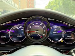 Porsche Panamera 2.9T - ფოტო 10