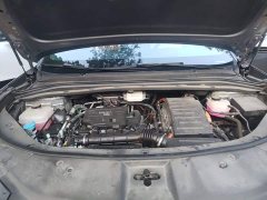 BYD Song L DM-i 2024 112km Leading Edition - ფოტო 16