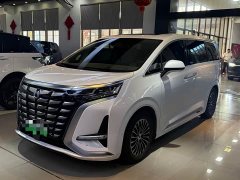 Denza D9 2022 DM-i 970 AWD Flagship - ფოტო 1