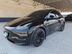 Tesla Model Y Long Range All-Wheel Drive - ფოტო 1