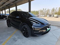 Tesla Model Y Long Range All-Wheel Drive - ფოტო 3