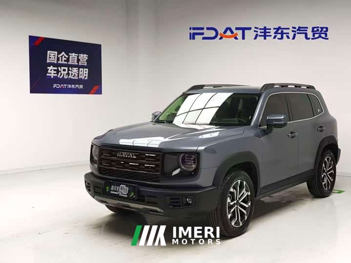 Great Wall Dachshund 1.5T DCT Border Collie Edition