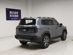 Great Wall Dachshund 2026 1.5T DCT Border Collie Edition - ფოტო 4