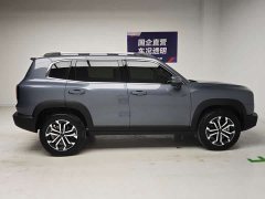 Great Wall Dachshund 2026 1.5T DCT Border Collie Edition - ფოტო 7