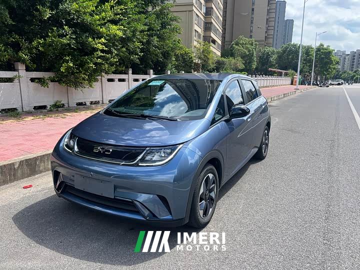 BYD Dolphin Glory Edition 420km Freedom Version