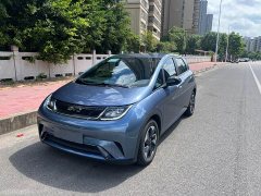 BYD Dolphin Glory Edition 420km Freedom Version - ფოტო 1