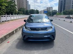 BYD Dolphin Glory Edition 420km Freedom Version - ფოტო 2