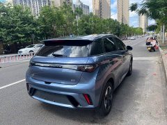 BYD Dolphin Glory Edition 420km Freedom Version - ფოტო 7
