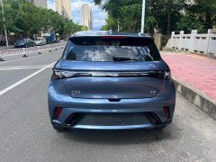BYD Dolphin Glory Edition 420km Freedom Version - ფოტო 8