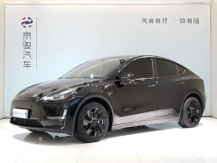 Tesla Model Y Rear-Wheel Drive - ფოტო 1