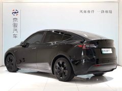 Tesla Model Y Rear-Wheel Drive - ფოტო 13