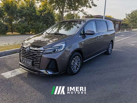 2024 Buick GL8 2023 Land Executive Cabin 652T Luxury - ავტომობილი ჩინეთიდან