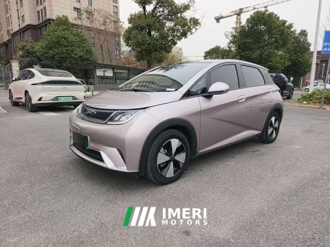 2023 BYD Dolphin 420km Fashion Edition - ავტომობილი ჩინეთიდან