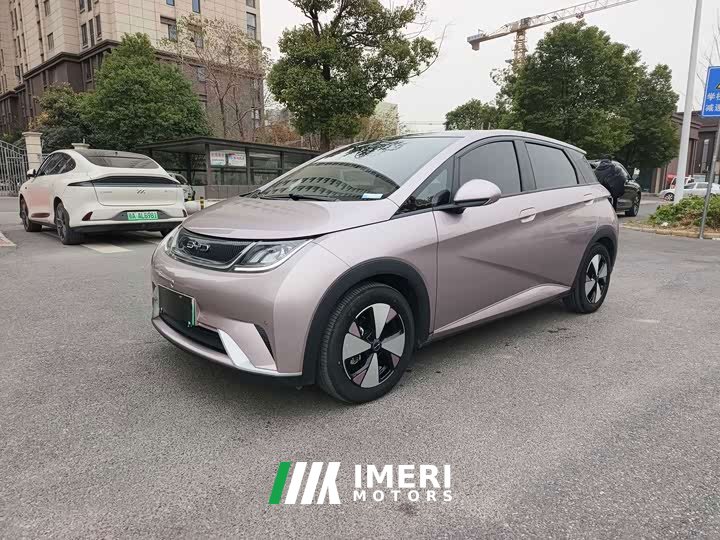 BYD Dolphin 420km Fashion Edition