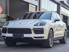 Porsche Cayenne 3.0T Platinum Edition - ფოტო 1
