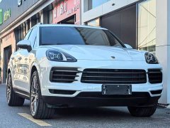 Porsche Cayenne 3.0T Platinum Edition - ფოტო 3