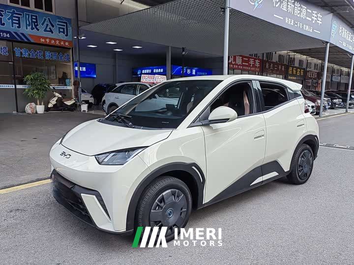 BYD Seagull 305km Vitality Edition