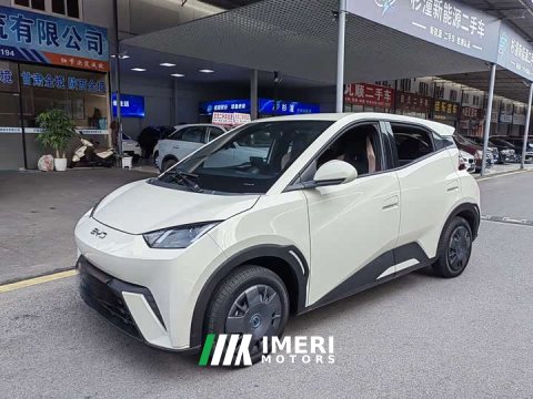 2024 BYD Seagull 305km Vitality Edition - автомобиль из Китая