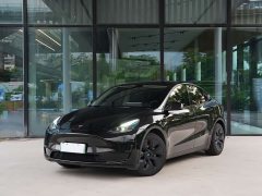 Tesla Model Y Rear-Wheel Drive - ფოტო 1