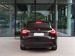Tesla Model Y Rear-Wheel Drive - ფოტო 12