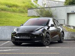Tesla Model Y Rear-Wheel Drive - ფოტო 1